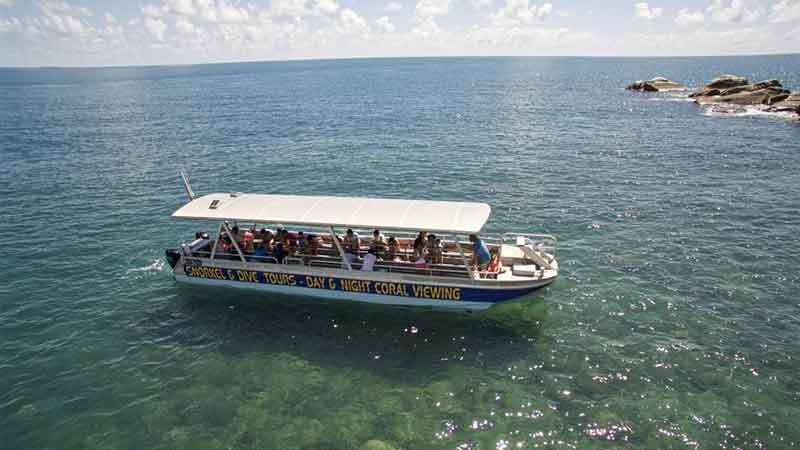 Let Cairns Dive Centre take you to the beautiful Fitzroy Island. It’s only a short 1 hr journey from Cairns