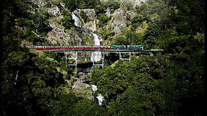 Visit Kuranda village via Kuranda Scenic Railway and  Kuranda Skyrail Cableway from Cairns