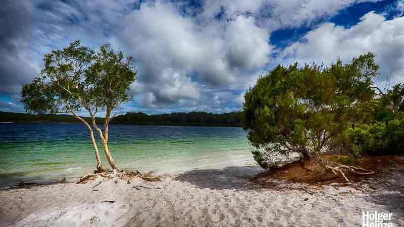 Enjoy a great Eco Hiking Adventure on K’gari (Fraser Island) with a four wheel drive transfer that takes you to the central rainforest and ancient Wangoolba Creek. Camp at Lake Boorangoora (McKenzie) and swim at the secret hikers beach