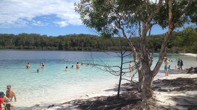 Enjoy a great Eco Hiking Adventure on K’gari (Fraser Island) with a four wheel drive transfer that takes you to the central rainforest and ancient Wangoolba Creek. Camp at Lake Boorangoora (McKenzie) and swim at the secret hikers beach