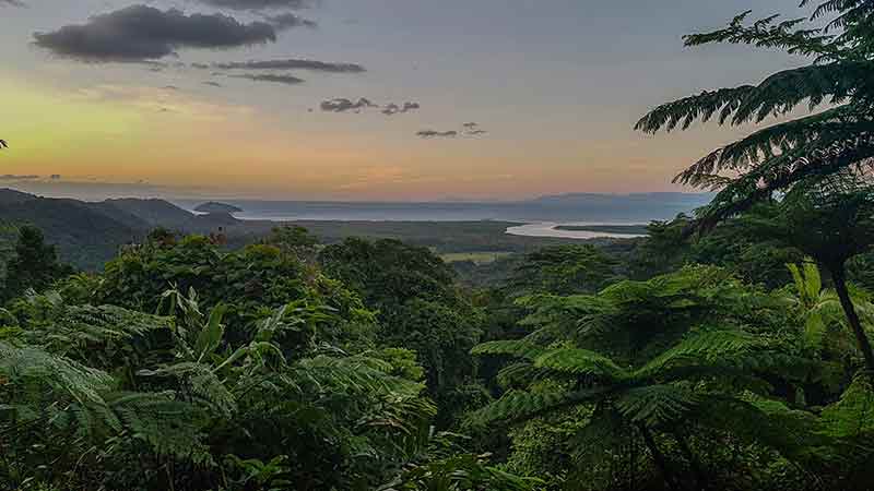 Join Active Tropics Explorer for a day trip to Cape Tribulation Region  from Cairns, where the world’s oldest continually surviving tropical rainforests meets the Great Barrier Reef. 