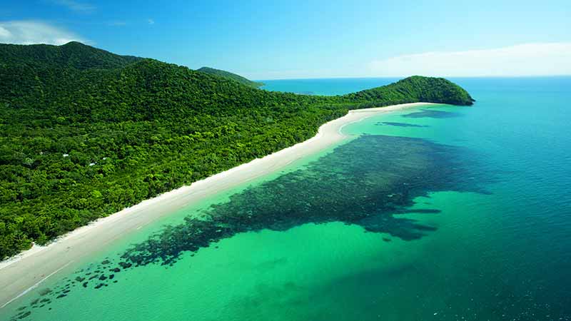 Join us for a day trip to Cape Tribulation from Cairns, where the world’s oldest continually surviving tropical rainforests meets the Great Barrier Reef