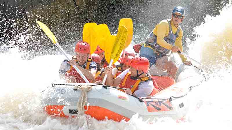 Experience the beauty surrounding the Barron River, rafting through pristine World Heritage listed rainforest just north of Cairns