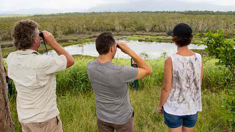 Join Wooroonooran Safaris on a day tour to the largest World Heritage Wet Tropics rainforest in Australia