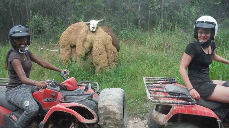 Join the team ant Down and Dirty ATV & Argo Tours for an evening experience from Cairns. Take part in an offroad ATV or Quad Bike adventure