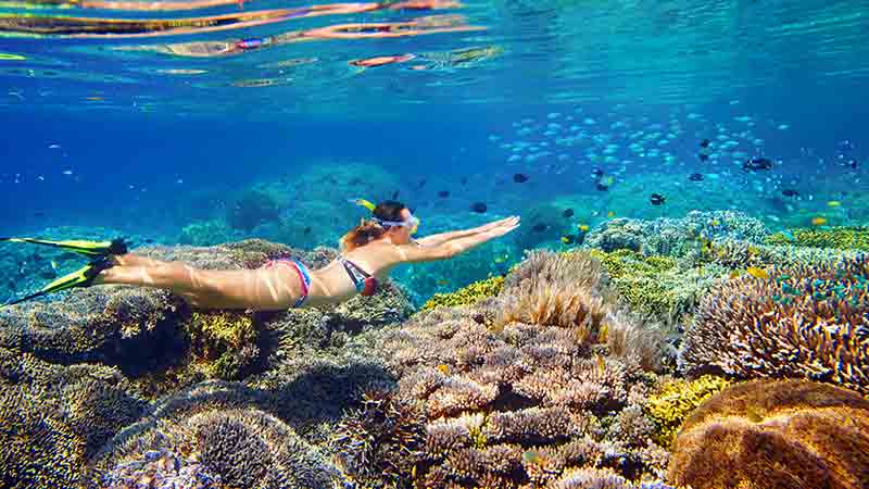 Join the crew aboard AquaQuest for a day to remember on the Great Barrier Reef! We depart Port Douglas and take a beautiful journey to the outer reef on our brand new luxury vessel.
