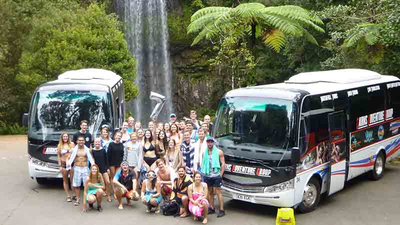 Join Waterfall Wanderers for a day tour of the Atherton Tablelands as we explore the breathtaking magic of the spectacular local waterfalls and luscious surrounding rainforests.