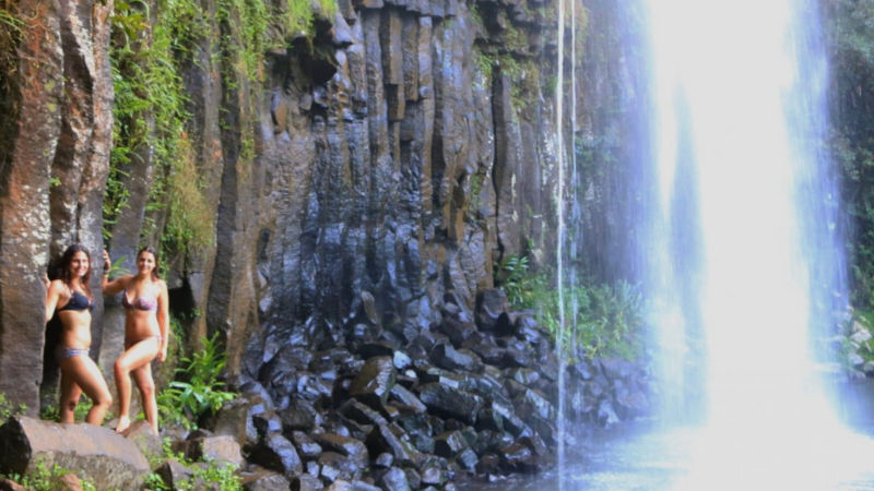 Embark on an unforgettable journey as we explore magical waterfalls and spectacular natural sights of Cairns and North Queensland!