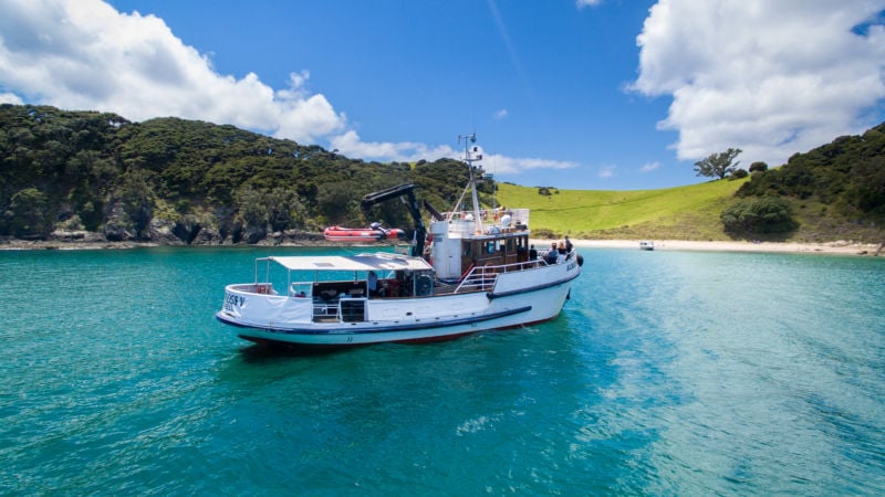 Join us for a relaxing 2.5 hour cruise around one of New Zealand’s most spectacular marine destinations!