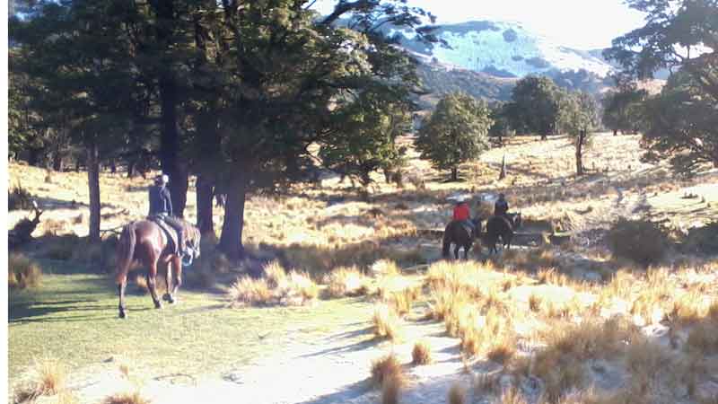 View spectacular mountain views whilst horse riding through stunning Rubicon Valley.  

This is one of our most popular horse rides.