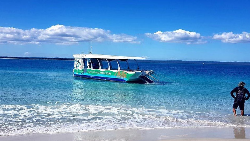 Board our glass bottom boat the 'Milbi' and discover the magical underwater world of the Great Sandy Straits Marine Park!