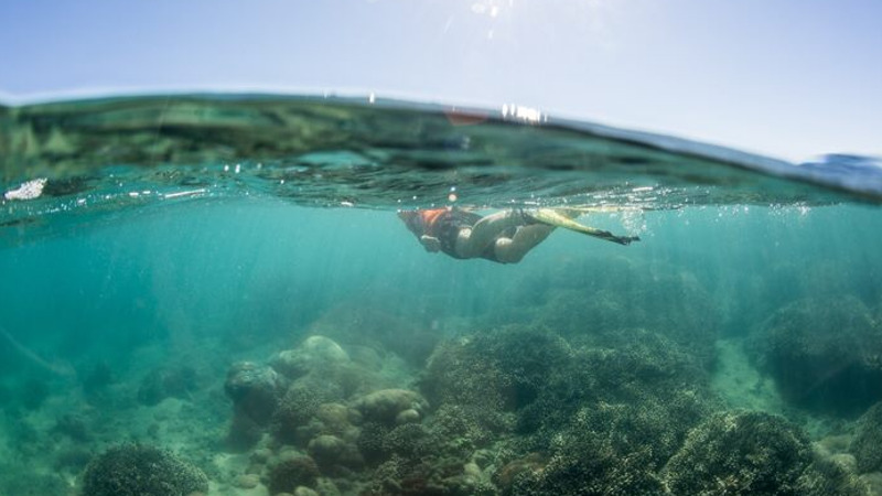 Board our glass bottom boat the 'Milbi' and discover the magical underwater world of the Great Sandy Straits Marine Park!