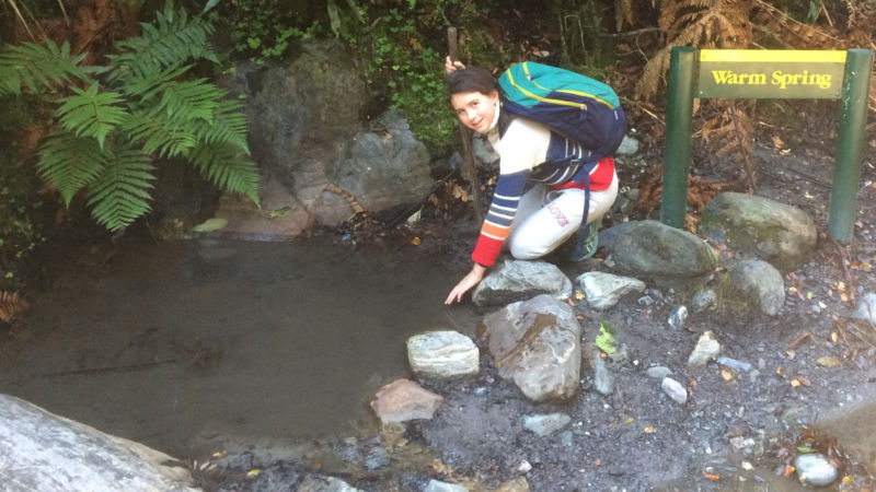 Witness the beauty of New Zealand’s Fox Glacier and explore the gems of Westland Tai Poutini National Park on a fascinating guided nature walk... 