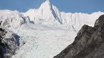 Fox Glacier Eco Tour 