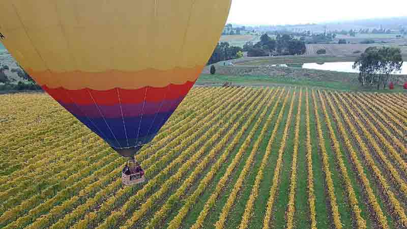 Take a walk on the wild side and experience a magical hot air ballooning flight over the beautiful Yarra Valley!
