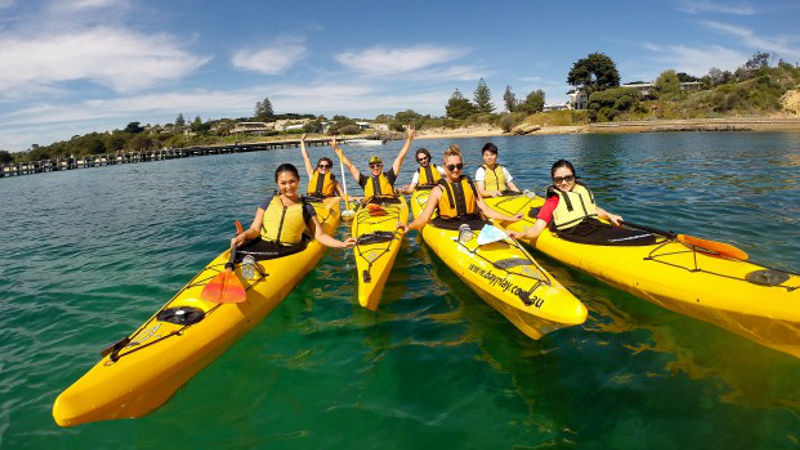 Discover the breathtaking beauty of the Mornington Peninsula and Dolphin Sanctuary!