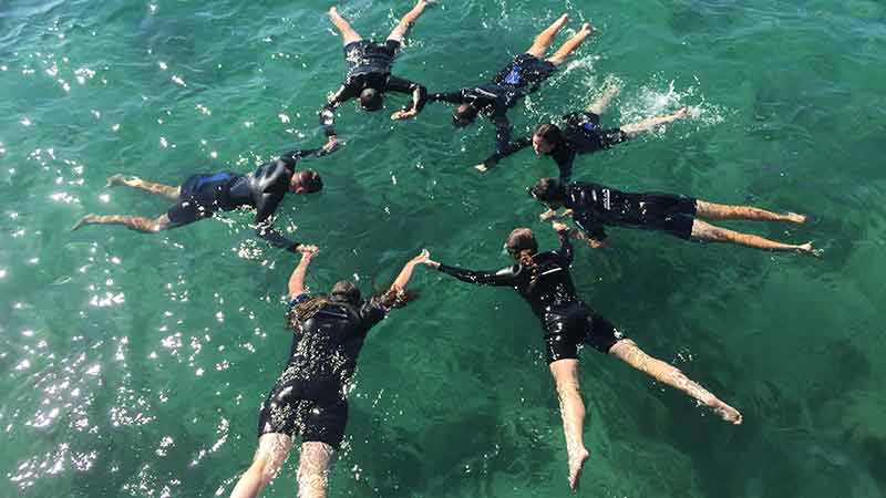 Discover the natural beauty of the underwater world, experience the magic Port Phillip Bay has to offer and meet the local Weedy Sea Dragons!