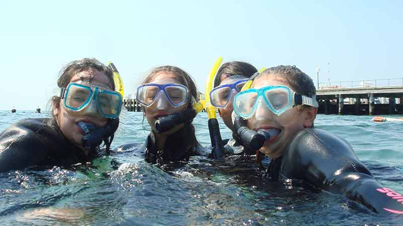 Discover the natural beauty of the underwater world, experience the magic Port Phillip Bay has to offer and meet the local Weedy Sea Dragons!