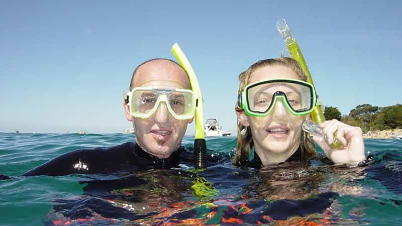 Experience the magic and underwater beauty of Port Philip Bay and meet the local Weedy Sea Dragons!