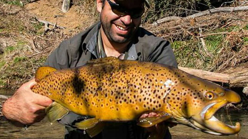 Join Rotorua Sight-Fishing Adventures for an incredible guided fishing trip on the beautiful waters of Lake Rotorua!