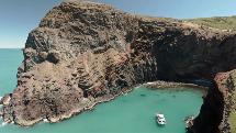 Akaroa - Harbour Nature Cruise - Black Cat Cruises