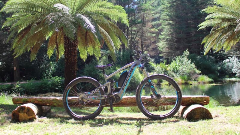 redwoods mountain bike park
