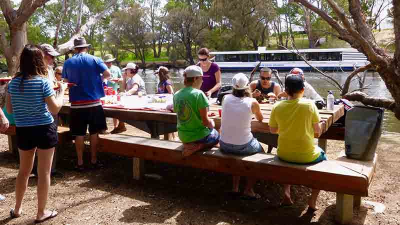 Explore the beautiful waterways of the Swan River with a self guided kayaking tour!