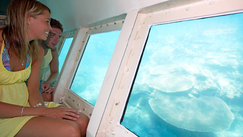 Great snorkelling 