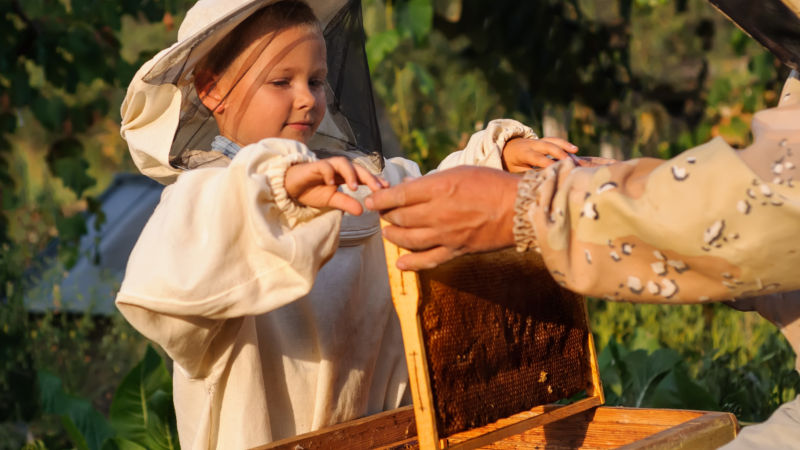 Learn all about the fascinating world of the honey bee with this incredible Bee Keeping Experience!
