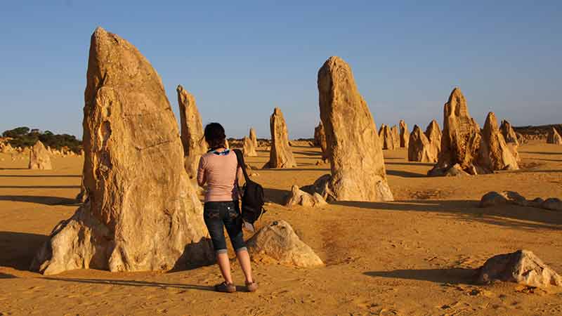 Pinnacle by name, pinnacle by nature!  Our comfortable full day tour could easily become the highlight of your time in Western Australia!