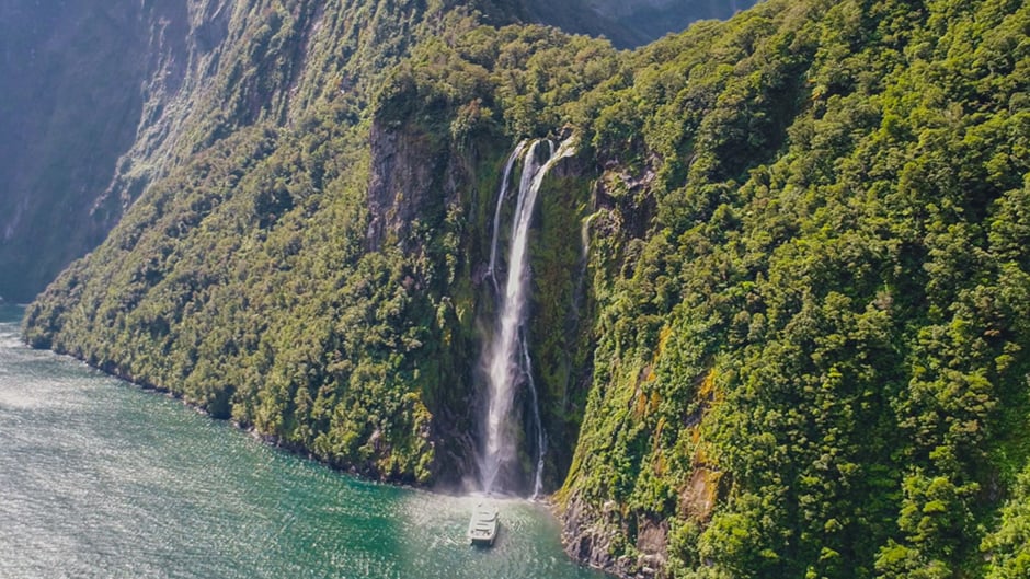 JUCY Cruise and their jovial crew welcome you aboard Milford Sound's only glass roof catamaran for an atmospheric cruise in magical Milford Sound!