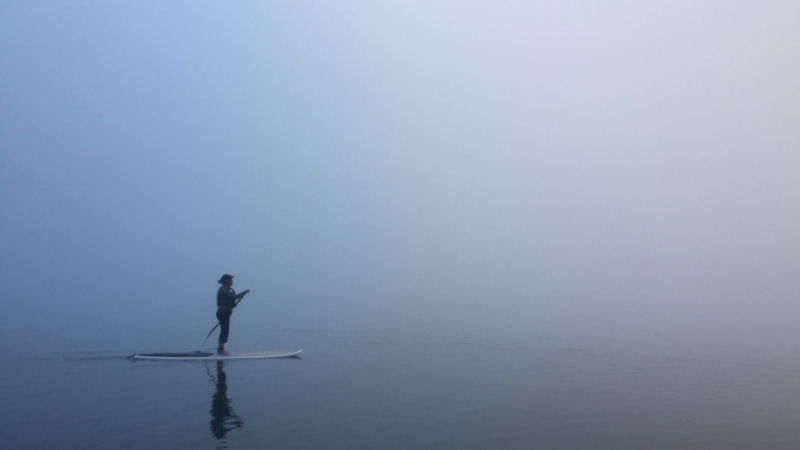 Explore one of the many beautiful lakes in the Rotorua Region up close and personal!