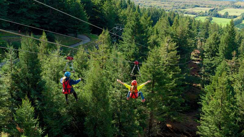 Rotorua Canopy Tours Discount Rotorua Canopy Tours Discount