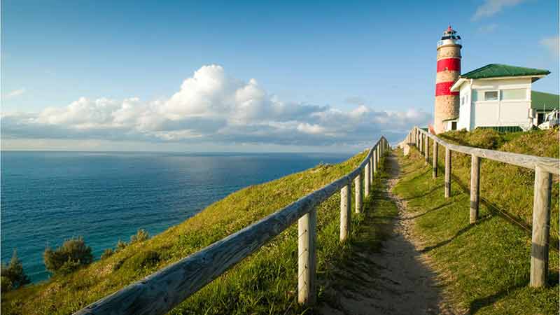 Enjoy a breathtaking SCENIC TOUR of Moreton Island in one of our comfortable 4WD coaches. This is a fully guided tour with an experienced tour guide, giving commentary of the beautiful surrounds and history of the Island