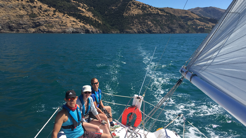 Join us for an unforgettable 3 hour sailing expedition over the spectacular Akaroa Harbour!