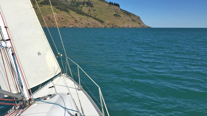 Join us for an unforgettable 3 hour sailing expedition over the spectacular Akaroa Harbour!