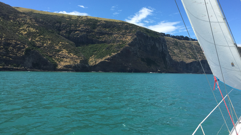 Join us for an unforgettable 3 hour sailing expedition over the spectacular Akaroa Harbour!