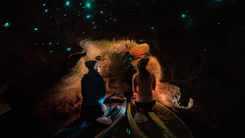 Experience this amazing twilight tour, paddle-boarding your way to a hidden destination home to an incredible array of glow worms! 