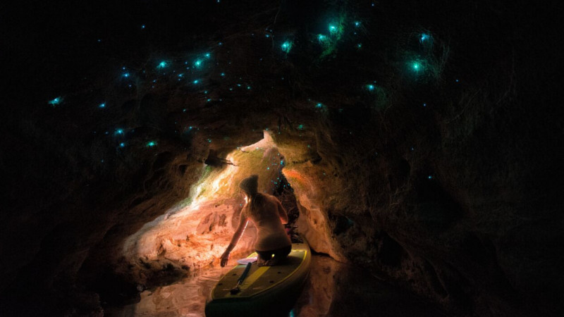 Experience this amazing twilight tour, paddle-boarding your way to a hidden destination home to an incredible array of glow worms! 