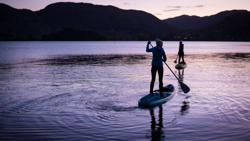 Experience this amazing twilight tour, paddle-boarding your way to a hidden destination home to an incredible array of glow worms! 