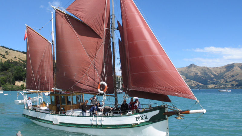 Join us on an unforgettable sailing adventure, getting up close with Akaroa’s wildlife, including the Hector Dolphin with real sailing on the Pacific Ocean! 