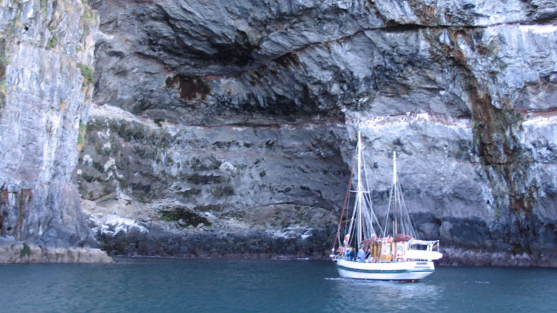 Join us on an unforgettable sailing adventure, getting up close with Akaroa’s wildlife, including the Hector Dolphin with real sailing on the Pacific Ocean! 