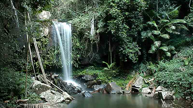 Spend the day soaking up the beauty of nature at World Heritage Lamington National Park, Canungra Valley and O’Reillys while learning all about its fascinating history and stories…