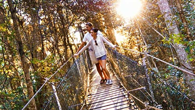 Spend the day soaking up the beauty of nature at World Heritage Lamington National Park, Canungra Valley and O’Reillys while learning all about its fascinating history and stories…