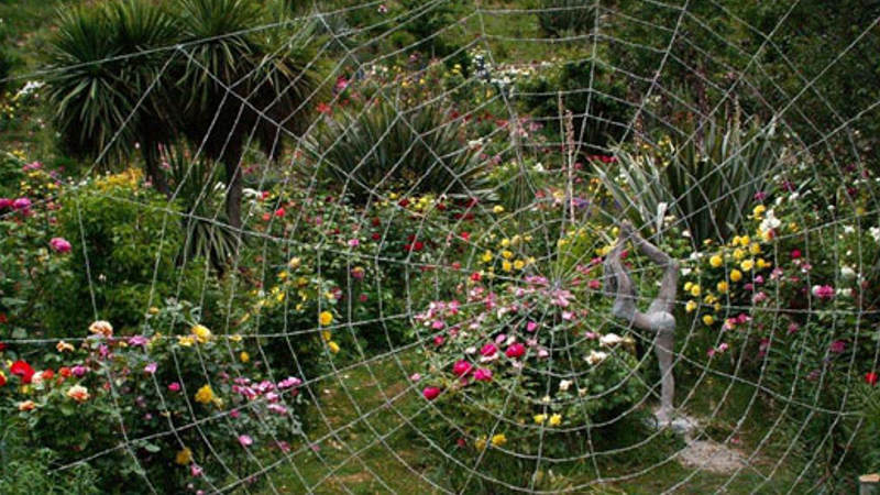 Situated on the beautiful Lake Wakatipu, this stunning garden boasts hundreds of different flowers in full bloom and a collection of water features, fish ponds, sculptures, interesting varieties of birds like peacocks and a unique house like in a fairy tale.