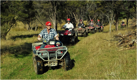 If you love a bit of adventure and exploring nature off the beaten track, our quad biking through beautiful rural farmland in Te Anau is just for you…