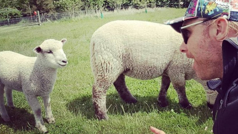 Experience authentic kiwi farm life at the beautiful Criffel Station where you will discover stunning scenery and friendly animals on a fun and interactive tour that is bound to delight young and old!