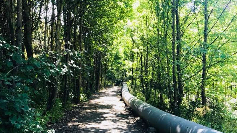 Visit Lake Hayes and a Chinese settlement, then take a step back in time as you discover the fascinating History of Arrowtown with a hike along the Arrow River - you can even pan for gold!