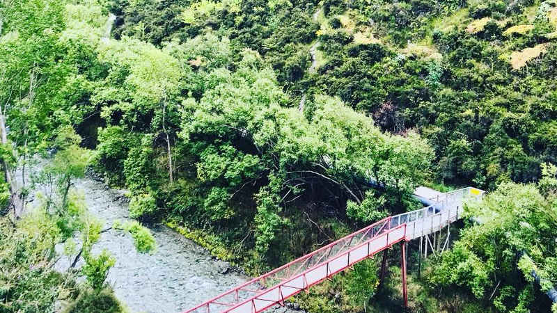 Visit Lake Hayes and a Chinese settlement, then take a step back in time as you discover the fascinating History of Arrowtown with a hike along the Arrow River - you can even pan for gold!