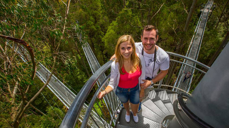 Experience the remarkable beauty of the Otway Ranges from high in the treetops with Otway Fly Treetop Adventures!
